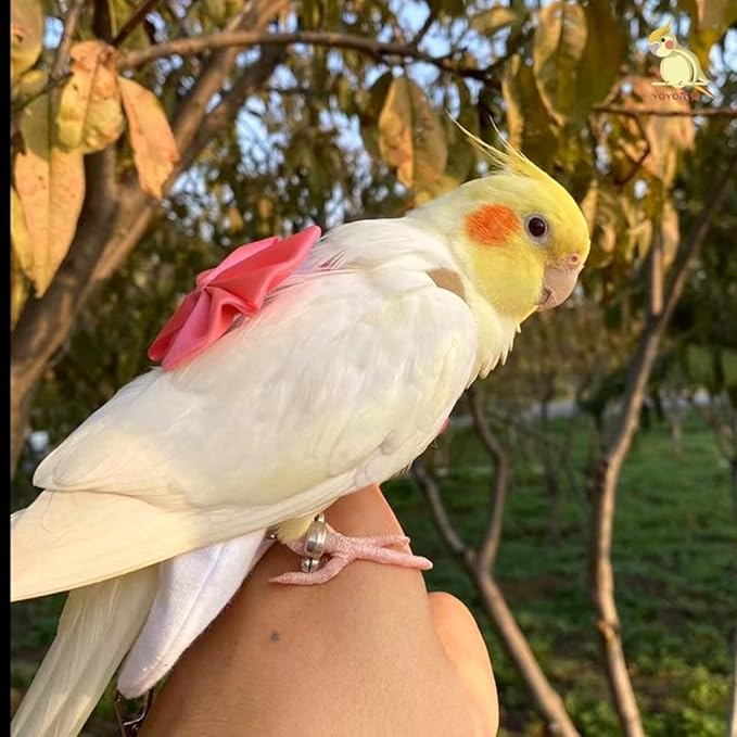 Bird Diaper Harness Flight Suit Clothes with Flying Leash for Parrots Cockatiel Pet Birds, Parrot Clothes, Bird Training Nappy Suit Liners Clothes (S, Silver)