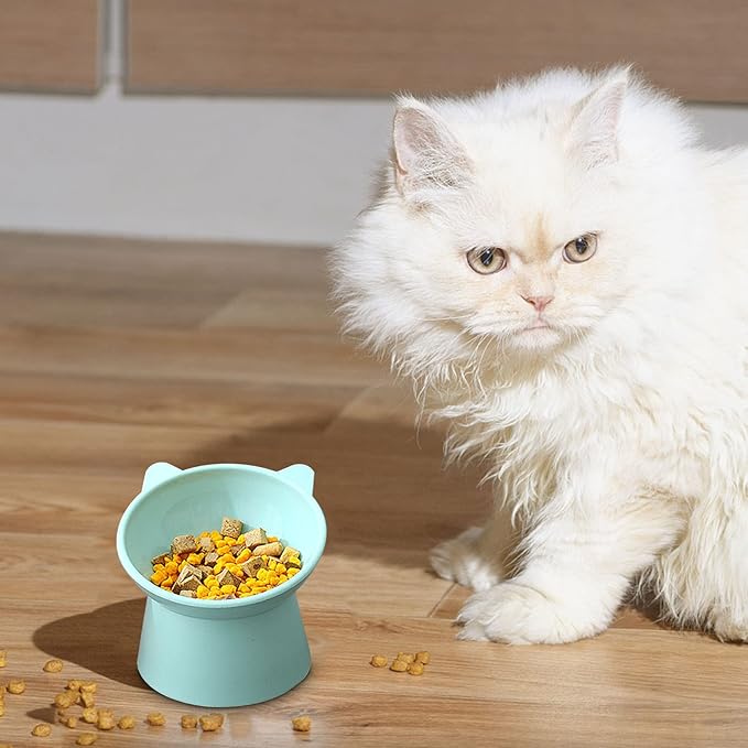 Tilted Elevated Cat Food Bowl - Cats Bowls Whisker Friendly Anti Vomiting Slanted Feeding Bowls Cute Shallow (Tall Cat Bowl-Green)