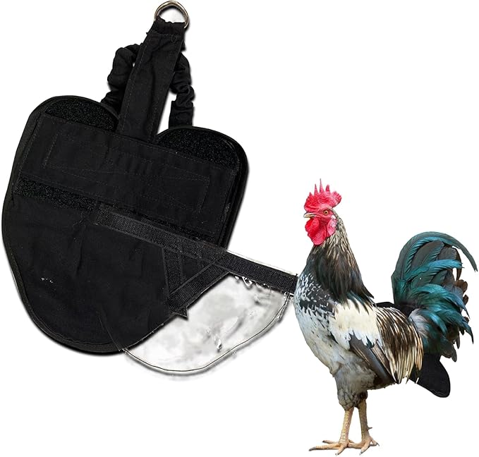 Hen Holster Starter Kit - Wrap-Around Duck Diaper w/Removable Liner & Fixed Tab - Durable, Secure Fit, Easy-to-Wear - Essential Duck Supplies for Real Ducks, Made in USA - Black, Large