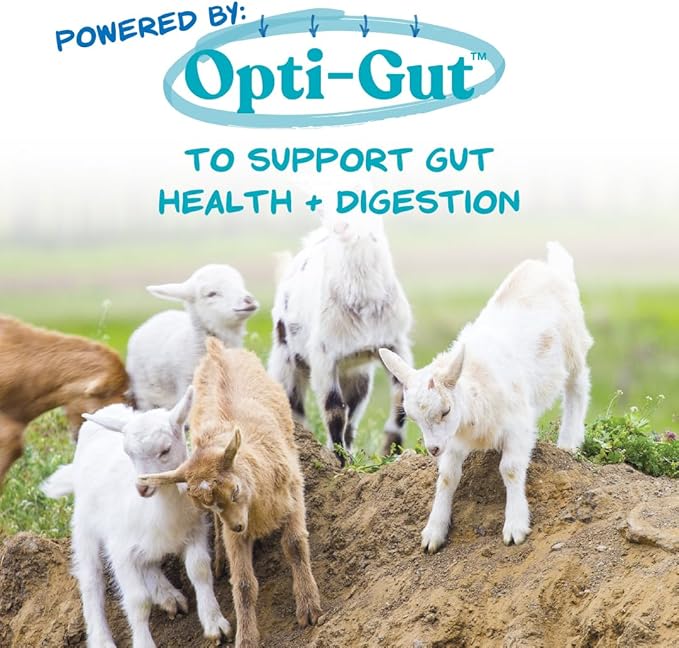 Manna Pro Nurse All Multi-Species Milk Replacer, Powered by Opti-Gut™ to Support Gut Health & Digestion, All-Milk Protein, Easy-To-Mix Formula, 8 Pounds