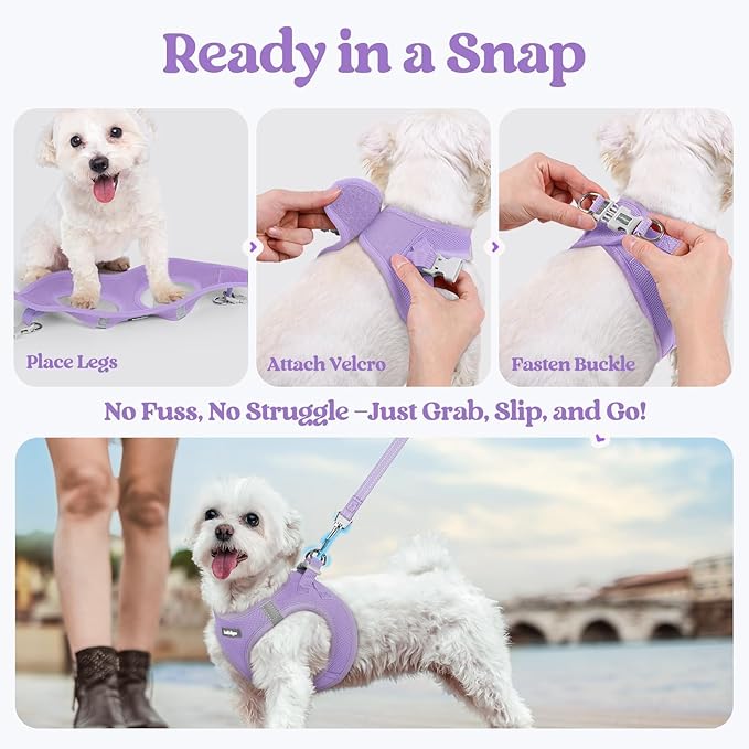 rabbitgoo Dog Harness Small Sized and Leash Set, Step in Soft Light Puppy Vest, Breathable Mesh Pet Harness, Reflective for Safe Easy Walking, Light Purple XXS