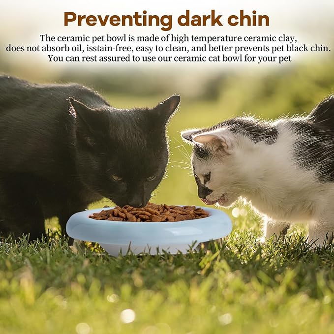 6-Inch Ceramic Cat Food Bowl,6 Oz Wide Shallow Cat Bowls,Whisker Fatigue Relief,Anti-Vomiting Design,Spine Protection for Cats,Dishwasher and Microwave Safe,Set of 1(Pink and Blue)