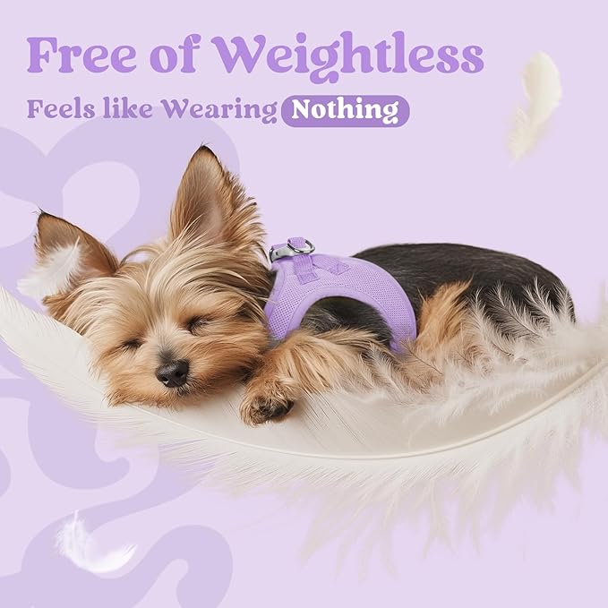 rabbitgoo Small Dog Harness, Step-in Soft Mesh Puppy Vest with Safety Buckle, Breathable Reflective Pet Harness for Small Medium Dogs, Light Purple XL