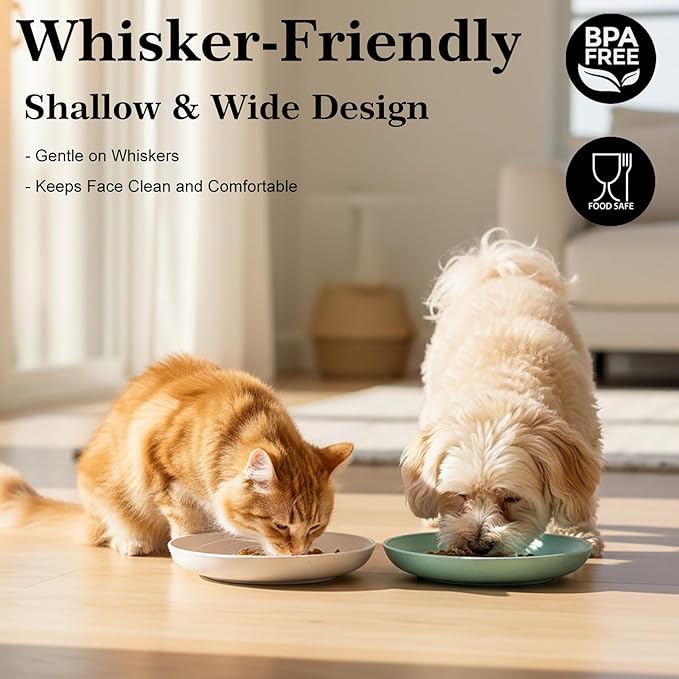 8 Pack Cat Bowls, Cat Food Bowl, 5.9 x 1 Inch Whisker Friendly Shallow Wide Cat Dishes, Pet Food and Water Bowl for Indoor & Outdoor Cats