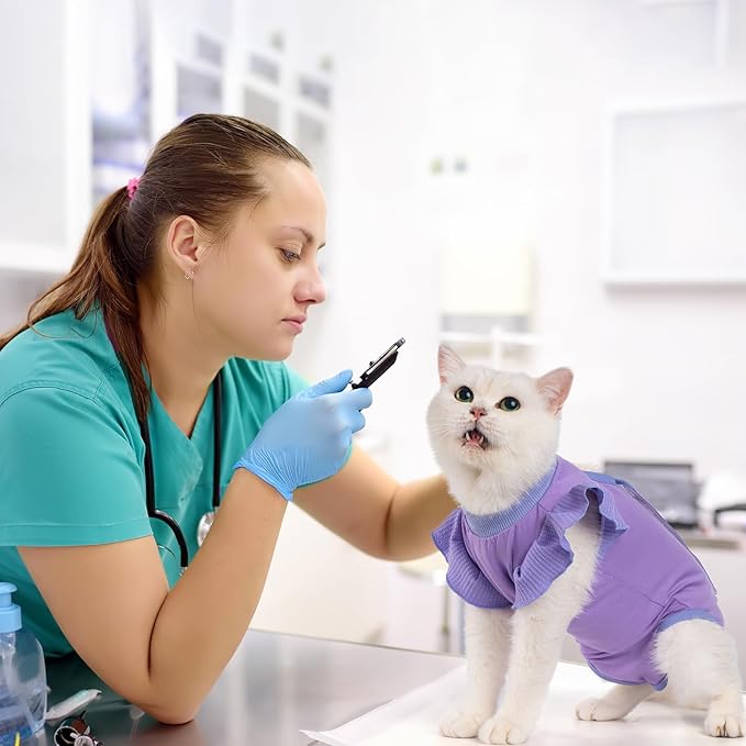Avont Cat Recovery Suit - Post-Surgery Onesie for Cats, Alternative to Cone of Shame, Protective Spay Suit for Female Kitten, Ideal for Healing and Skin Conditions -Purple(L)