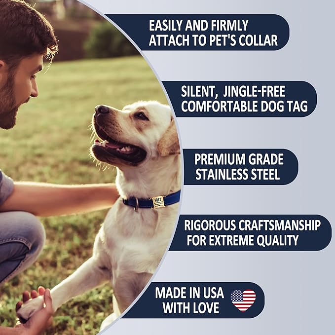 Deep Laser Custom Font Engraved Slide - No Noise Collar Tags, PVD Rose Gold Stainless Steel, 5 Lines of Personalized Text - Pet ID Name Tags for Dogs & Cats - Large