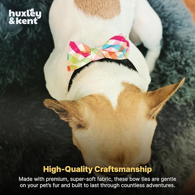 Huxley & Kent Pet Bow Tie for Dogs & Cats - Adjustable Hook & Loop Collar Accessory - Cute & Comfortable for Holidays & Celebrations - Yellow/Orange Check, Small