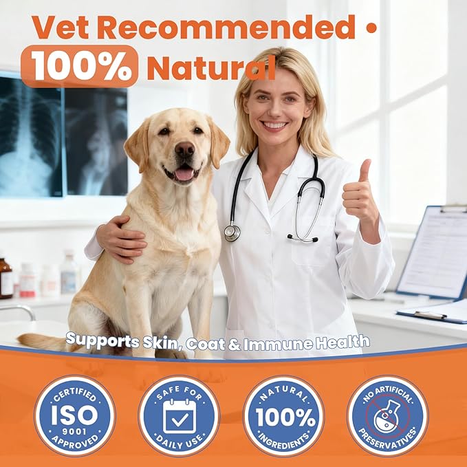 Salmon Oil for Dogs,Omega 3 for Dog Skin and Coat Supplement Chews Fish Oil Treat, Omega 6 EPA & DHA Fatty Acids Dry Skin Relief for Dogs, Coat Itch Relief Supplement,Salmon Flavor