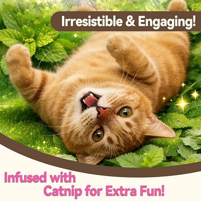 Catnip Cat Treats, Chicken & Salmon Flavor Crunchy Cat Biscuits, Fish-Shaped Training Snacks for Adult Cats, 8 oz