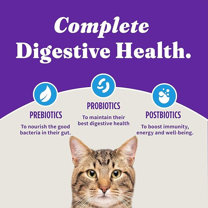 Halo Holistic Cat Food Wild Caught Whitefish Formula, Healthy Grains Dry Cat Food, For Sensitive Stomach Support, Kibble for Adult Cats, 3 lb Bag
