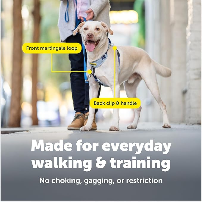 PetSafe Easy Walk Comfort No-Pull Dog Harness - Better Walk Training Harness - Full Body Padded Design - Durable Fabric - 5 Point Adjustable Fit - Everyday Leash Training - Blue - X-Small