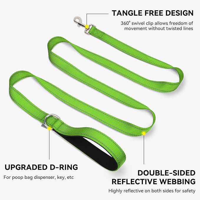 Joytale Dog Leash, 6 FT Double-Sided Reflective, Padded Handle Nylon Heavy Duty Leashes for Small Dogs Walking, Green