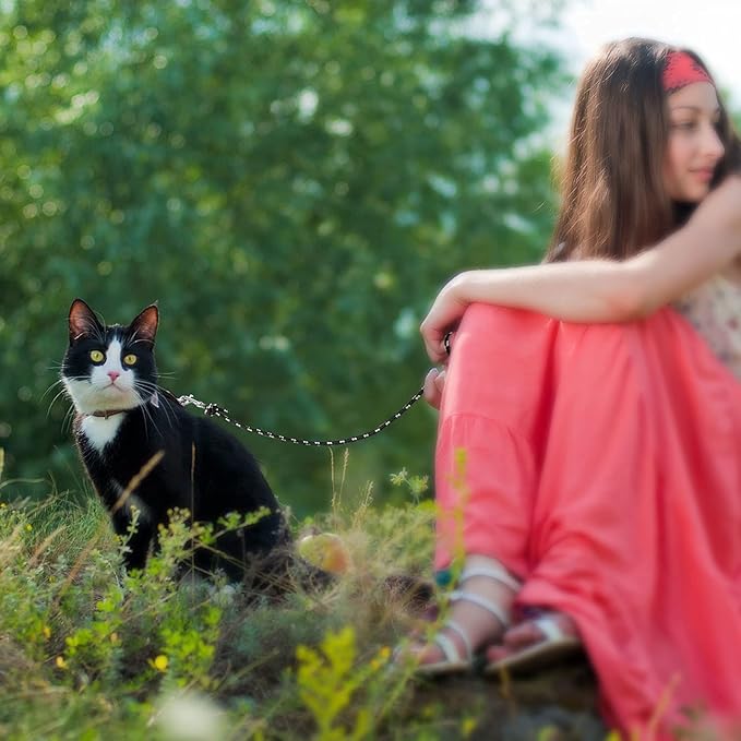 Rypet Reflective Cat Long Leash - 30 FT Escape Proof Walking Leads Yard Long Lead Durable Safe Personalized Extender Leash Traning Play Outdoor for Kitten, Puppy, Rabbit and Small Animals