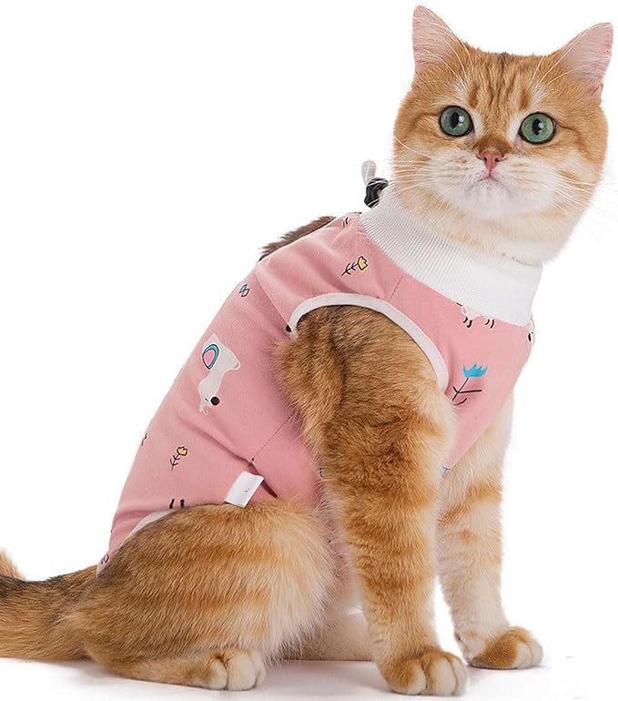 Cat Recovery Suit Female Kitten Onesie for Cats After Surgery Female Spay Surgical Abdominal Wound Skin Diseases Cone Collar Soft Alternative Wear (Alpaca, L)