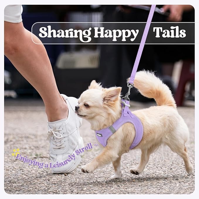 rabbitgoo Dog Harness Small Sized and Leash Set, Step in Soft Light Puppy Vest, Breathable Mesh Pet Harness, Reflective for Safe Easy Walking, Light Purple XXS