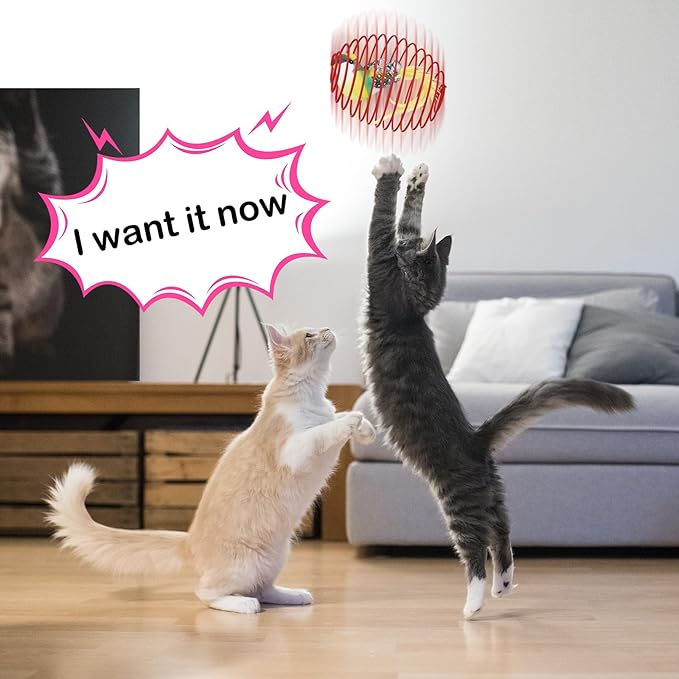 Jecery 5 Pcs Cat Spring Balls Toys Stretchable Rolling Balls Colorful Playful Coils Interactive Action Toy Caged Rats for Kitten Pet Supplies (Bird,Multicolor)