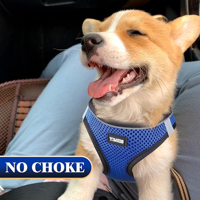 YIMEIS Dog Harness and Leash Set, No Pull Soft Mesh Pet Harness, Reflective Adjustable Puppy Vest for Small Medium Large Dogs, Cats (Royal Blue & Black, Medium (Pack of 1)
