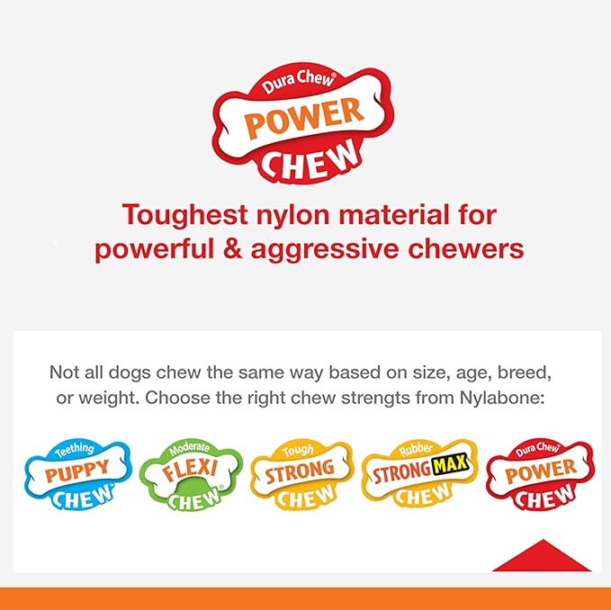 Nylabone Original Bone Power Chew Toy for Dogs, Durable Dog Toys for Aggressive Chewers, Flavor Frenzy Bacon Cheeseburger & Apple Pie Flavor, Small - Up to 25 Ibs, 2 Pack