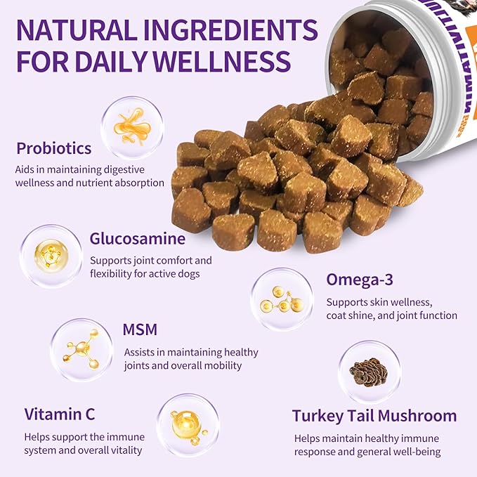 40 in 1 Dog Vitamins and Supplements 200Ct Dog Multivitamin Chewable, Immunity Support Multivitamin Vitamins with Turkey Tail Mushroom, Skin & Coat, Mobility, Gut & Heart Health, Hip & Joint Support