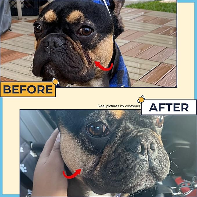 Paste for Bulldogs Wrinkle 2oz - Wrinkle Cream for Dogs, English Bulldog, Frenchie, Pug - Cleans Rashes,Tail Pockets, Dry Skin & Paws (Made in USA)
