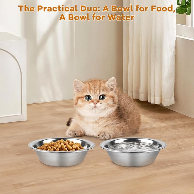 ZUFECY 4-Pack Stainless Steel Cat Bowls, 5.5'' Non-Tip Pet Food Dishes, Easy Clean Water Bowls for Indoor/Outdoor Use