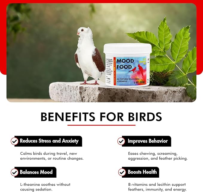Morning Bird Mood Food 3 oz – Natural Calming Supplement for Birds – Non-Sedating - Unwanted Behavior, Feather Plucking & Aggression – Gentle Stress Relief Achieved with Amino Acids and B-Vitamins