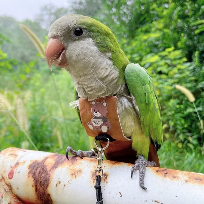Bird Diaper Harness Flight Suit Clothes, Parrot Flight Suit with Leash for Parrot, Bird Flying Clothes with Rope and Handle for Outdoor Activities Training (Green-cheeked Conure,Without Leash)