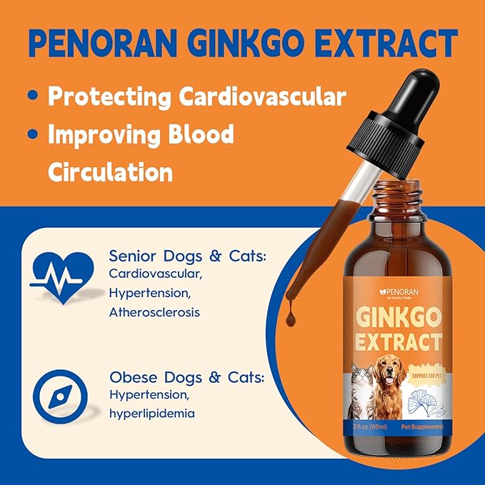 Pet Ginkgo Brain & Heart Support Drops, for Dogs & Cats: Cognitive & Memory Support, Blood Pressure, Cholesterol, Fights Mental Fog, with Curcumin & Lecithin & Multivitamins ﻿
