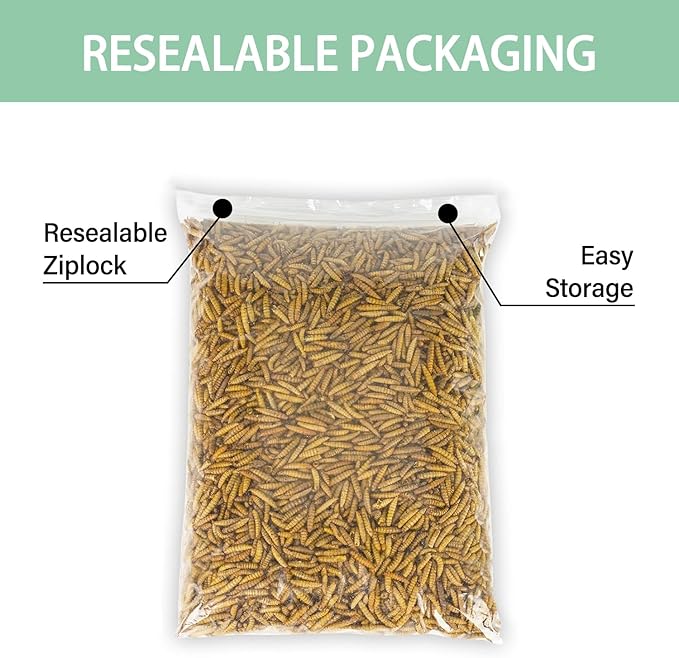 WORMSKING 5.5LB Dried Black Soldier Fly Larvae, More Calcium Than Dried Mealworms, High Protein Chicken Feed, Poultry Treat