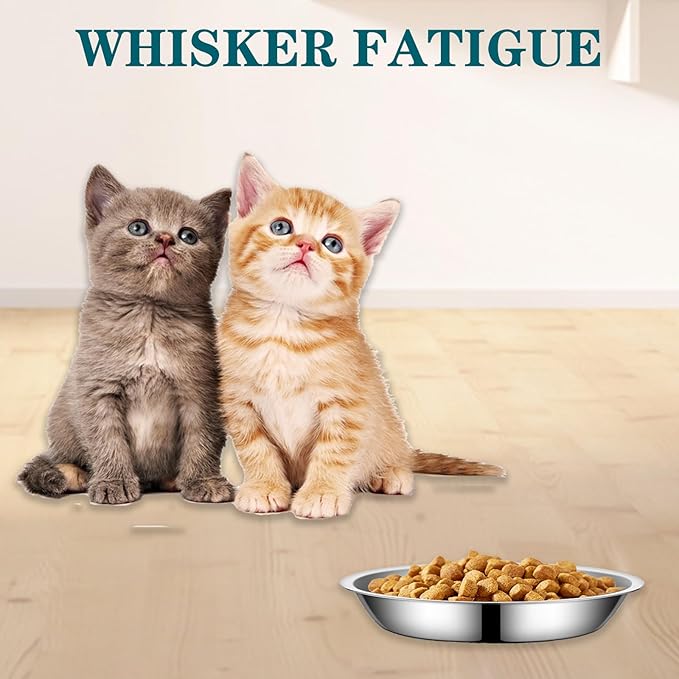 4Packs Cat-Bowls Cat Food Bowl - 6.1 Inch Stainless Steel Cats Feed Bowl for Indoor Cats Shallow and Wide Wet Food Plate Pet Feeding Whisker Fatigue Relief Pet Plate for Kitten Puppy (Type-B)