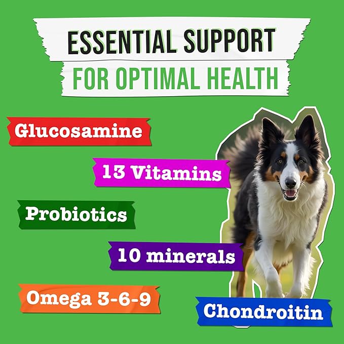 Dog Vitamins + Glucosamine - Chewable Multivitamins + Probiotics, Omega - Hip & Joint Support, Skin & Coat, Gut Health - Adult & Senior - Large & Small Breed - 240 Chews