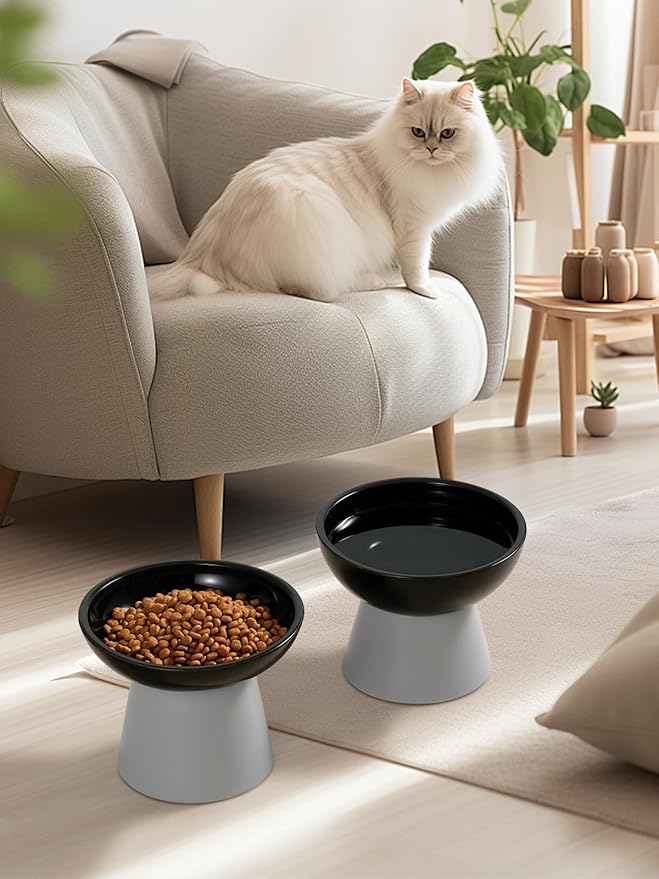 LoeJan Elevated Cat Food and Water Bowls Set, Extra Wide and Raised Ceramic Feeder, Anti-Vomit Whisker-Free Pressure Feeding Bowl for Kittens Adult Small Dogs (Black, Food Bowl)