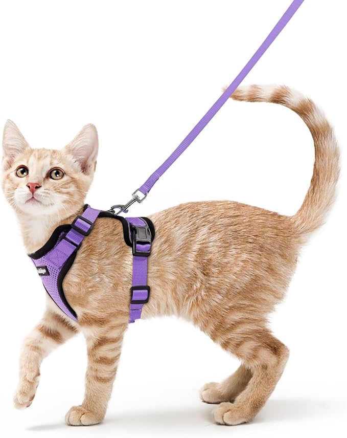 rabbitgoo Cat Harness and Leash for Walking, Escape Proof Soft Adjustable Vest Harnesses for Cats, Easy Control Breathable Reflective Strips Jacket, Light Purple, XS