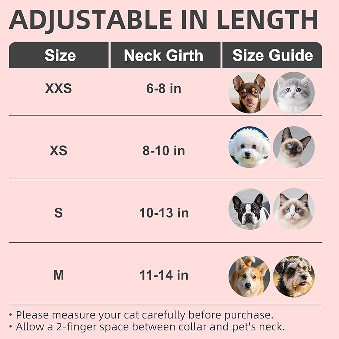 PUPTECK Basic Adjustable Cat Collar with Bling Diamond and Double Bells, for Kitten and Small Puppy, Fashion and Shining Dog Rhinestone Collars, 8-10in, Red