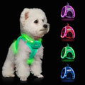 Light Up Dog Harness,Rechargeable LED Dog Harness for Small Medium Large Dogs,Reflective Lighted Safety Vest for Night Walking & Camping,Lightweight & Adjustable,Light Green,S