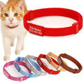 Minimalist Stretch Lightweight Custom Engraved Cat Collar with Name Tag Personalized Cat Collars for Kitten Boy & Girl Cats (Red, Collar with Nameplate)