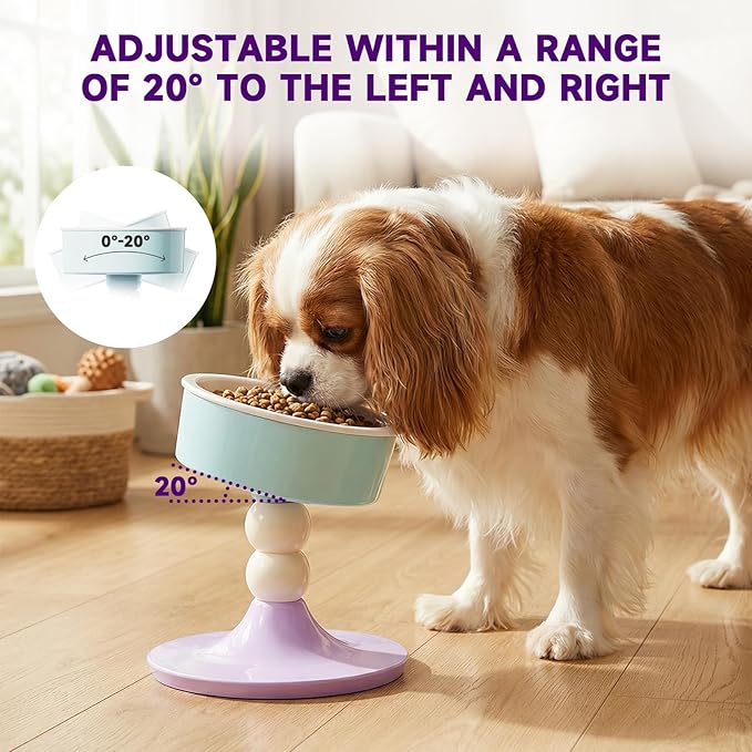 Cat Food and Water Bowls,Raised Cat Bowl,Three Adjustable Height Options, 20° Tiltable, 360° Rotatable, Raised Pet Bowl.Suitable for Small Dogs, Kittens, and Adult Cats.1 Piece, Color: Purple