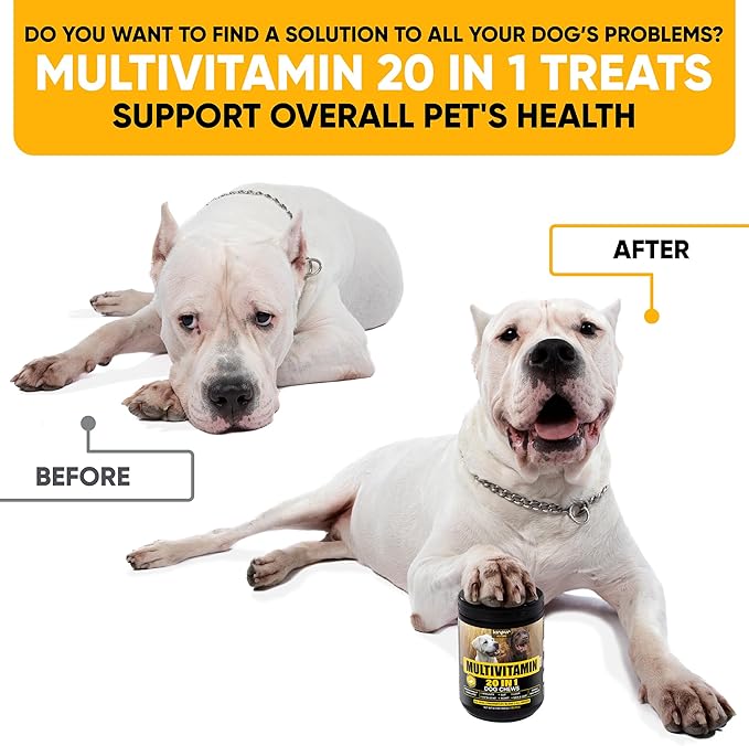 20-in-1 Dog Multivitamin Chews - Dog Supplement for Immunity, Digestion, Joint Care, Vision, Brain and Heart Health Support - Natural Dog Vitamins with MSM & Glucosamine for Dogs - 180 Chews