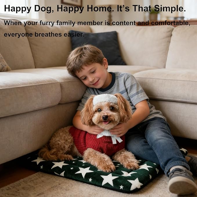 Dog Bed Mat, Reversible Dog Crate Pad with Washable Kennel Mat and Soft Foam, Pet Bed for Dogs & Cats, for Crates Carriers & Travel (Big&Small Stars Green, 24" L*18" W*1.5" Th)