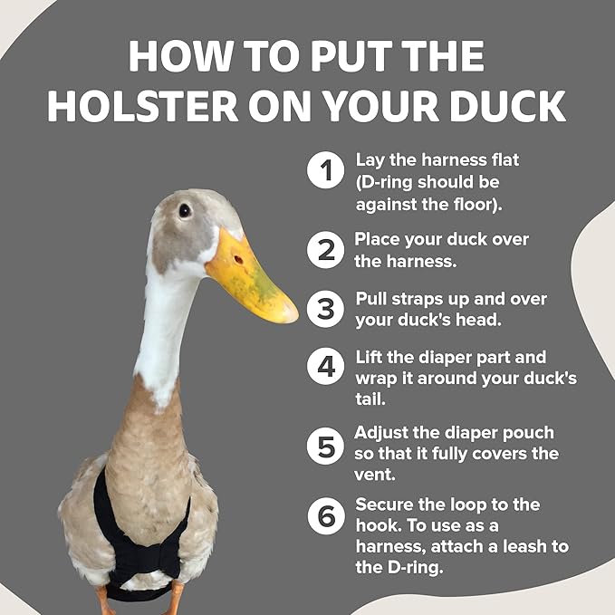 Hen Holster Starter Kit - Wrap-Around Runner Duck Diaper w/ Removable Liner & Fixed Tab - Durable, Secure Fit, Easy-to-Wear - Essential Duck Supplies for Real Ducks, Made in USA - Gray