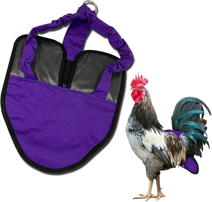 Hen Holster Premium Starter Kit - Bird Diaper, Wrap Around for Hens, Roosters, Ducks - Leak-Proof, Comfortable Bird Harness with Sewn-in Liner, Secure Hook & Loop Closure - S/M Purple