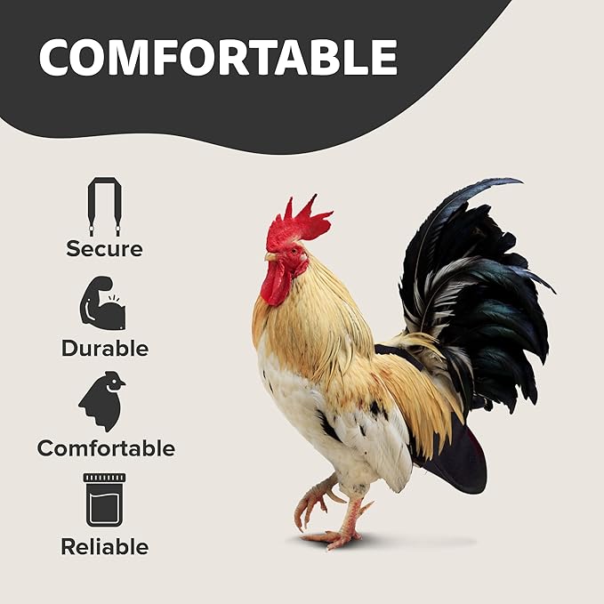 Hen Holster Premium Starter Kit - Bird Diaper, Wrap Around for Hens, Roosters, Ducks - Leak-Proof, Comfortable Bird Harness with Sewn-in Liner, Secure Hook & Loop Closure - Large, Black