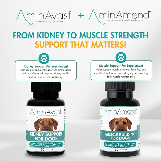 Muscle Support Dog Supplements for Large Breed (21lbs+) with CaHMB & Vitamin D3 – Supports Strength, Mobility & Daily Activity for All Ages & Senior Dog – (30 Capsules)