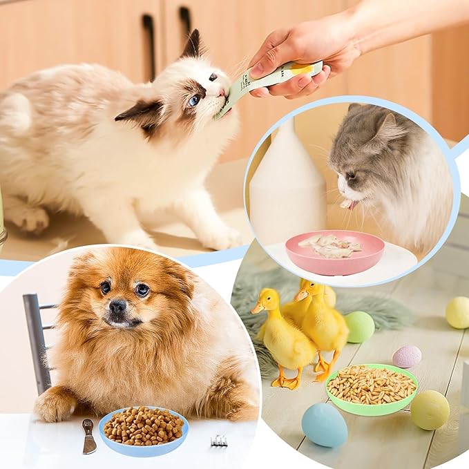 TKOnline 10 Pcs Cat Food Bowl, 5.6 Inch Plastic Shallow Pet Food and Water Dish for Relief Whisker Fatigue, Wide Cat Wet Feeding Bowls, Small Flat Dish for Indoor Outdoor Kittens Dogs