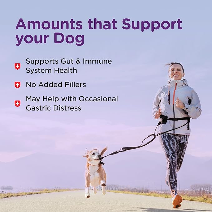 Nutri-Vet Bladder Control Supplement, Cranberry Supplement, Dog Products, Immune Support, Helps Dog Urinary Incontinence, Bladder Control Pills, Urinary Tract Health, Puppy Support, 90 Tablets