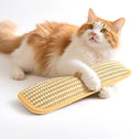 Catnip Pillows, Catnip Toys, Cat Nail File Scratcher Sisal Teeth-Cleaning Scratching Pad for Cats for Teeth Care Kitten Training Play Interactive Bonding (1pc, 13x3in)
