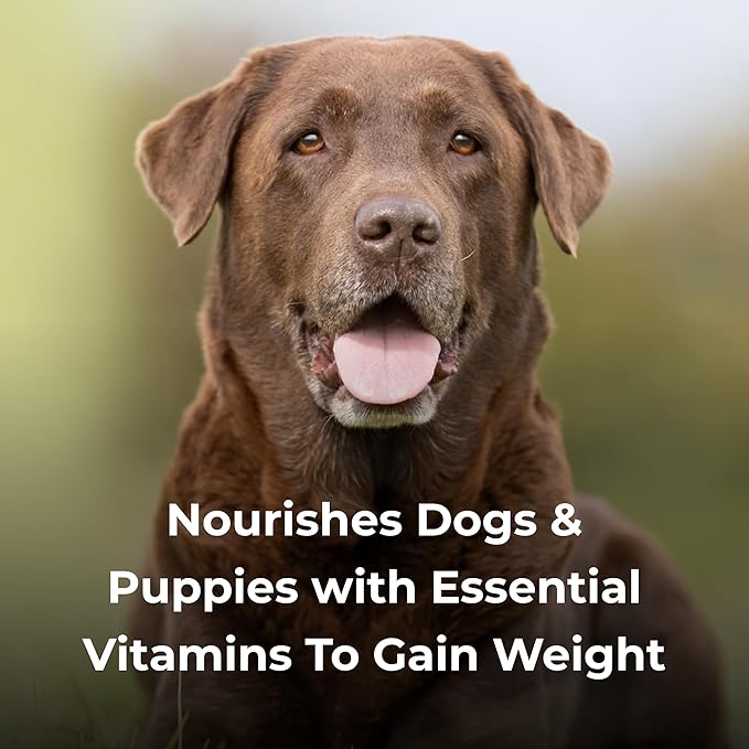 PetAg Dyne High Calorie Liquid Nutritional Supplement for Dogs & Puppies 8 Weeks and Older - 32 oz - Supports Performance and Endurance - Sweet Vanilla Flavor