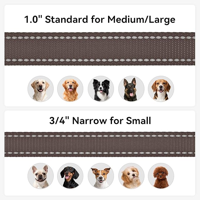 Joytale Double-Sided Reflective Dog Leash, 6 FT/5 FT/4 FT, Padded Handle Nylon Heavy Duty Leashes for Medium & Large Dogs Walking, Brown, 5FT