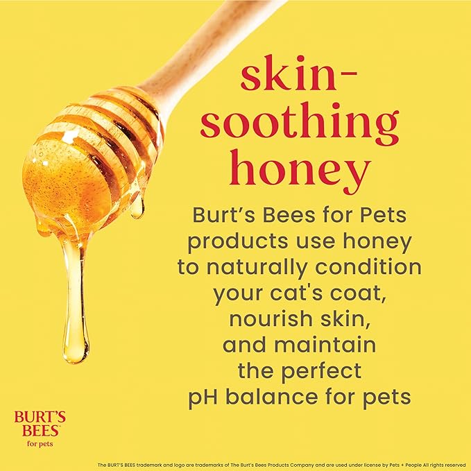 Burt’s Bees for Pets Hypoallergenic Cat Shampoo with Shea Butter and Honey, Gentle Kitten Shampoo for Indoor Cats with Dry or Sensitive Skin, Cat Bathing Supplies, 10 Fl Oz - 6 Pack