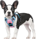 rabbitgoo Dog Harness No Pull with 2 Leash Clips, Adjustable Soft Padded, Reflective Oxford No Choke Pet Vest with Easy Control Handle for Small Dogs, Pink & Blue, S